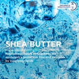 BIODERMA ATODERM STICK LEVRES - 4g (Bioderma Atoderm Lipstick/Moisturising Lipstick)