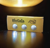 BioGaia Chewable Tablets(ဘိုင်အိုဂိုင်းရား ပရိုဘိုင်အိုတစ်) 3 လုံးကဒ် x 3 strips ( 9လုံး) (Free Delivery )